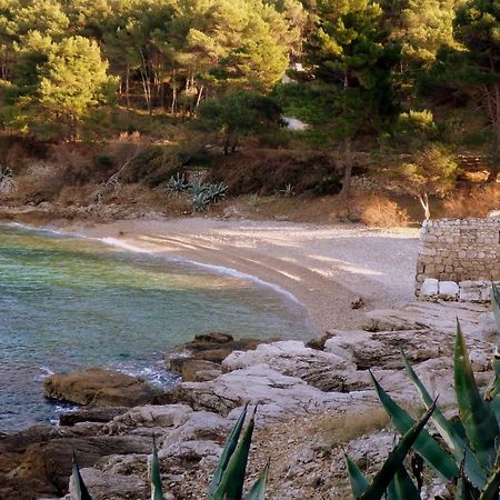 וויס Guesthouse Torga מראה חיצוני תמונה